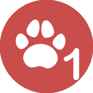 Author Level 1 :  has sold USD 1+ ON Artworkcast